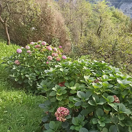 Appartement Cà Lenzi